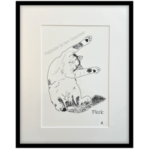 Lineart Tierportrait nach Fotovorlage gezeichnet im Bilderrahmen mit einem Katzenmotiv